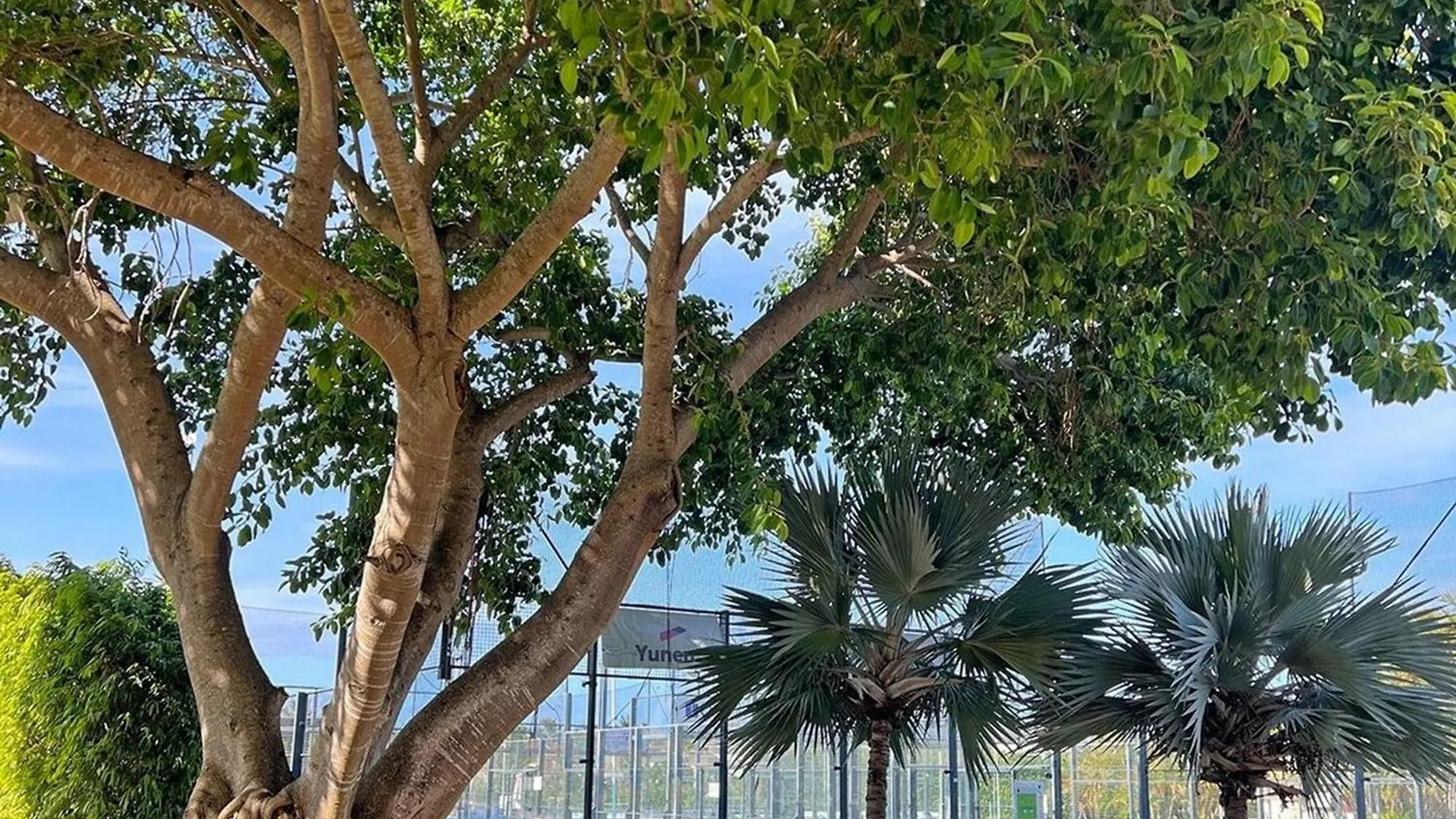Alojamiento Familiar En Punta Cana Con Piscina